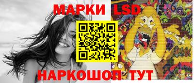 шишки Новодвинск