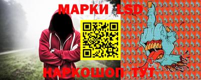 шишки Новодвинск