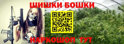 spice Новозыбков