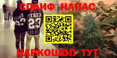 spice Новозыбков