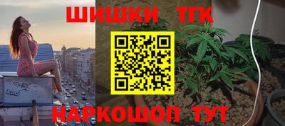 шишки Новодвинск