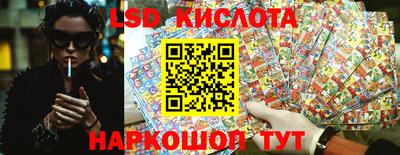 spice Новозыбков