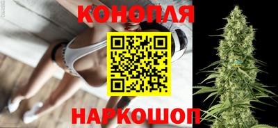 spice Новозыбков