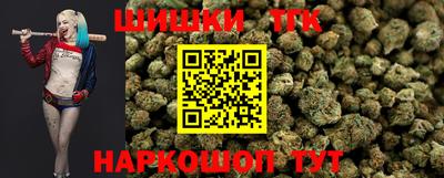 шишки Новодвинск