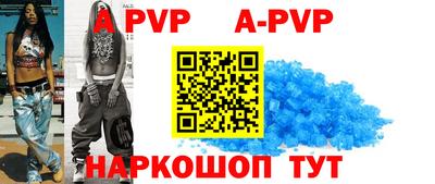 шишки Новодвинск