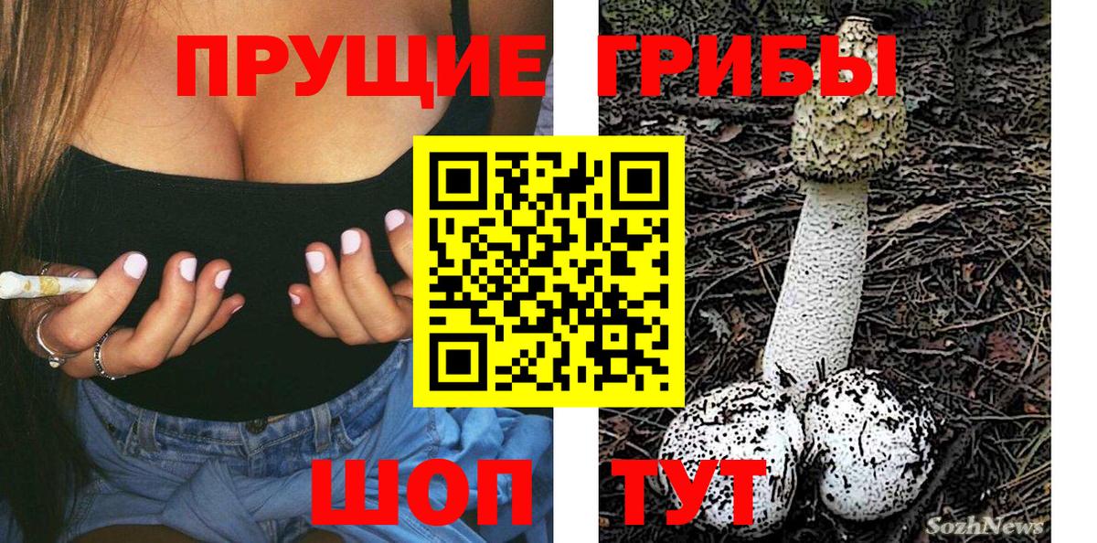 Галлюциногенные грибы прущие грибы Семилуки